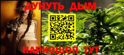 индика Славгород
