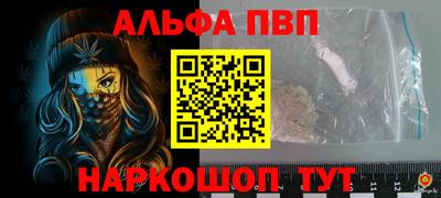 индика Славгород