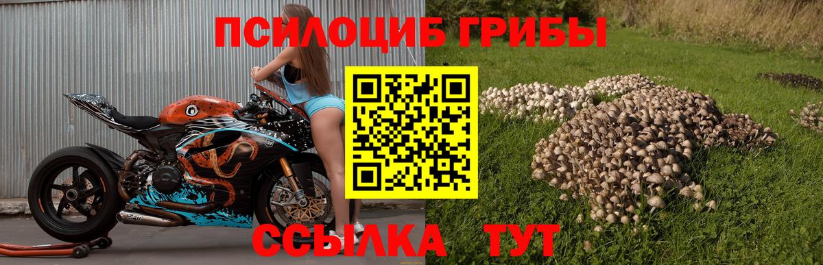 Псилоцибиновые грибы прущие грибы  Вход с VPN  Скопин 